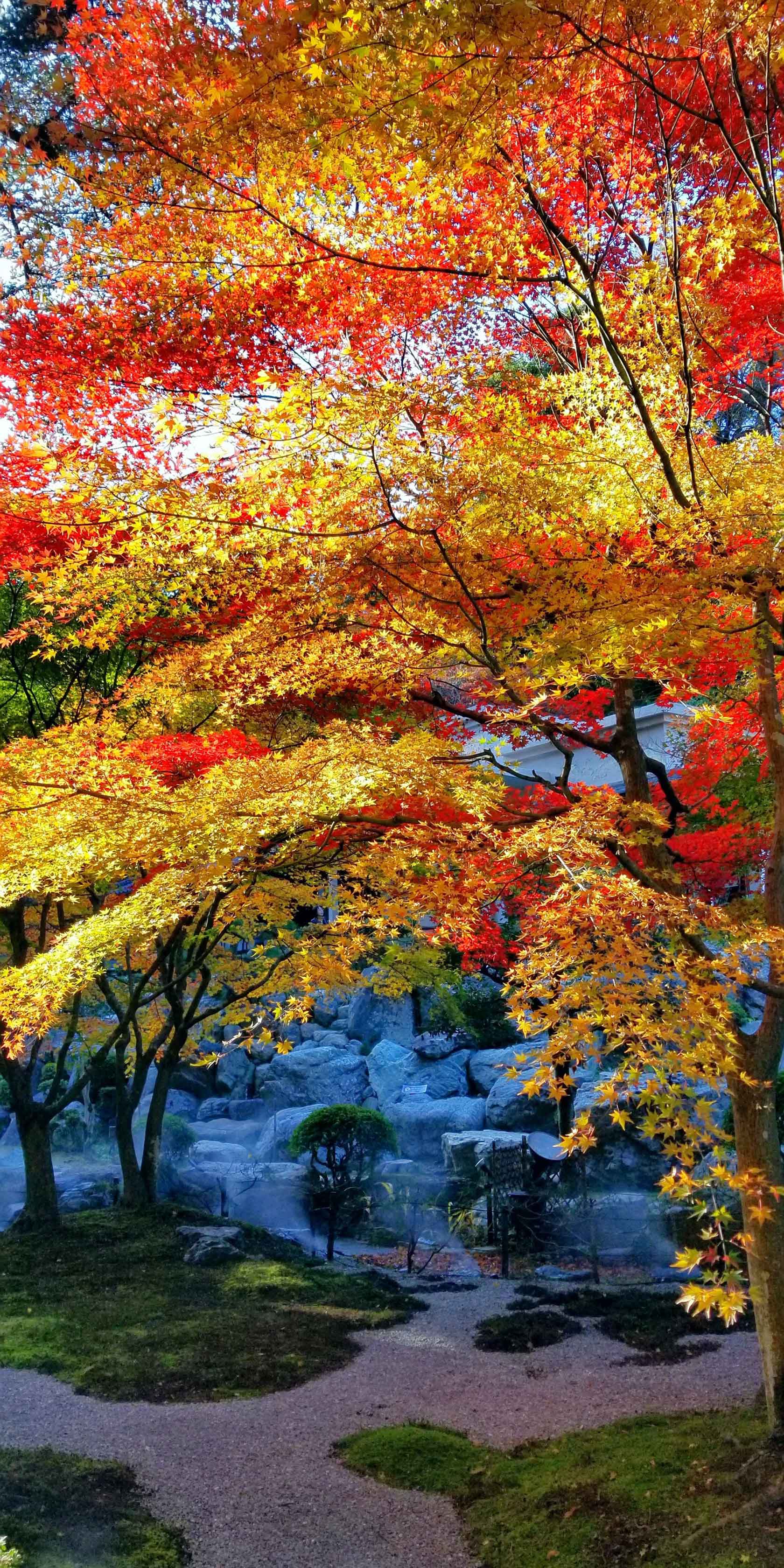 北関東屈指の日本庭園