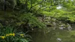洞窟観音 徳明園 山徳記念館
今朝(5/27)の庭園の様子です
.
本日15時まで開園いたします
.
#beautifultakasaki #洞窟観音 #高崎 #takasaki #japantrip #japanesegarden #徳明園 #tokumeien #池のある庭 #庭木 #群馬観光 #高崎駅 #takasakistation #新緑 #緑のある風景