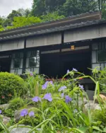 洞窟観音 徳明園 山徳記念館
今朝（5/24）の庭園の様子です
.
本日16時まで開園いたします
.
.
#洞窟観音 #徳明園 #japanland #japanesegarden #日本庭園 #群馬県 #群馬観光スポット #zengarden #春の旅 #beautifultakasaki #gardening #takasaki #ひとりたび #phototrip #女子旅 #japanischergarten #高崎