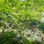 苔の徳明園と洞窟観音
今朝(6/1)の庭園の様子です
.
本日16時まで開園いたします
.
#洞窟観音 
#徳明園 
#japanesegarden 
#日本庭園 
#gunma
#takasaki 
#高崎 
#群馬県
#苔庭
#mossgarden 
#mossy