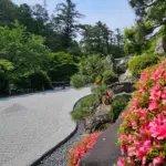 洞窟観音 徳明園 山徳記念館
今朝（6/2）の庭園の様子です
.
本日15時迄開園致します
.
#洞窟観音 #徳明園 #japanview #japanesegarden #日本庭園 #群馬県 #zengarden #tsutsuji #takasaki #tourismjapan #花庭 #flowergarden #photojapan #躑躅 #春の旅行
