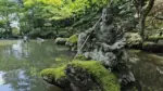 洞窟観音 徳明園 山徳記念館
今朝(7/4)の浦島太郎の様子です。柔和な表情が素敵な作品です
.
本日15時まで開園いたします
.
#洞窟観音 
#徳明園 
#japanesegarden 
#日本庭園 
#gunma
#takasaki 
#高崎 
#群馬県
#浦島太郎
#仏像 
#stoneart 
#高崎観光 
#高橋楽山
