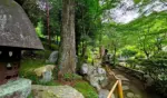 洞窟観音 徳明園 山徳記念館
今朝(7/12)の庭園の様子です
.
.
本日16時迄開園いたします
.
.
#洞窟観音 
#徳明園 
#japanesegarden 
#日本庭園 
#gunma
#takasaki 
#高崎 
#群馬県
#あおもみじ
#maplegarden 
#mossgarden