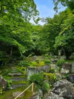 洞窟観音 徳明園 山徳記念館
今朝(7/14)の庭園の様子です。終日雨模様の予報ですが、一瞬日が差しております
.
写真右下の庭石は、新潟県魚沼から運び込まれた小平尾石です。洞窟観音の観音像は全てこの石が素材で、石工「高橋楽山」の故郷でもあります。白い斑点が出てくるのが大きな特徴です
.
本日15時迄開園いたします
.
.
#洞窟観音 
#徳明園 
#japanesegarden 
#日本庭園 
#gunma
#takasaki 
#高崎 
#群馬県
#あおもみじ
#maplegarden 
#mossgarden