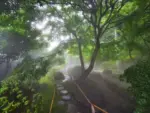 洞窟観音 徳明園 山徳記念館
今朝(7/15)の苔庭の様子です
.
本日15時迄開園いたします
.
.
#洞窟観音 
#tokumeien 
#japanesegarden 
#gunmalove
#gunma
#takasaki 
#グラマラスぐんま
#群馬の風景
#幻想的な風景
#zekkeijapan
#explorejapan
